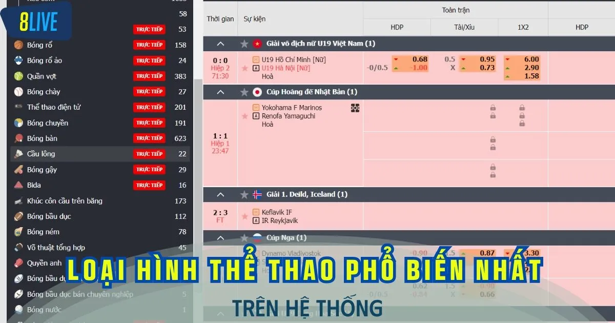 3+ loại hình thể thao nhất định phải tham gia khi lựa chọn sảnh C - Sports